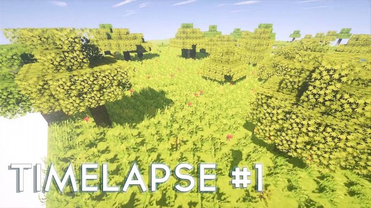 Timelapse 1 Le commencement