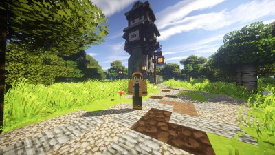 Un fox sauvage depuis la tour de garde